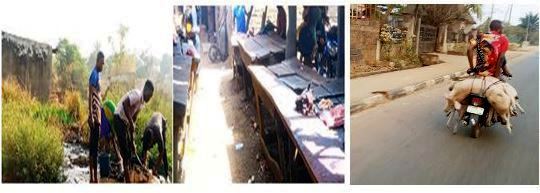 The Sorry State of Benue Slaughter Houses