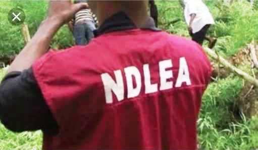 NDLEA, ALGON partner on drug war, to set up WADA committees at LGs, communities  As Marwa charges council chairmen on grassroots advocacy, drug test, others