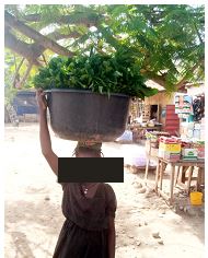 Trafficked Children Exposed to “Colonial various”