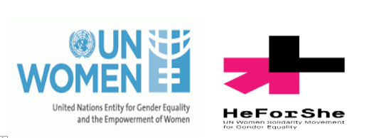 REPORT OF HEFORSHE PLANNING/REVIEW MEETING  VENUE: BENUE HOTELS, MAKURDI, BENUE STATE
