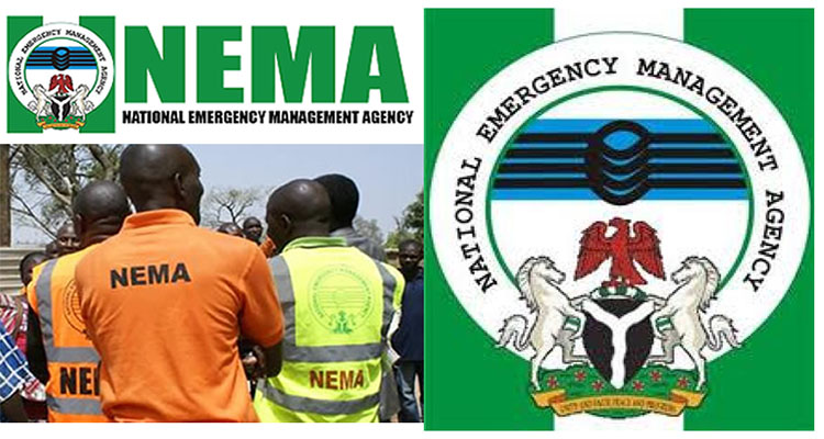 NEMA received 103 Nigerians deportees from Turkiye