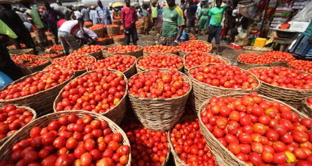 Insecurity Exacerbate Cost of tomatoes, Pepper – Traders