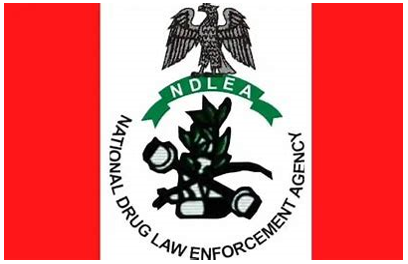 NDLEA arrests India-bound nursing student over attempt to ingest 76 wraps of cocaine