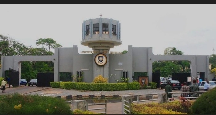 VF: ‘EGG DONATION NOT A SIDE HUSTLE,’ UI WARNS FEMALE STUDENTS