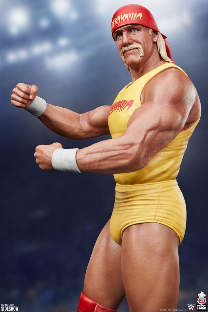 HULK HOGAN: WWE STAR BOWS TO DEATH ON JULY 24, SHOCKS HIS WIFE WITH 3 LAST WISHES