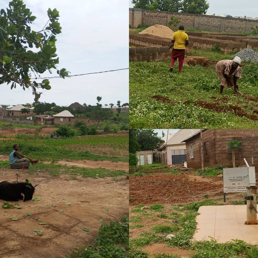 Delayed Rains Leave Abuja Farmers in Limbo